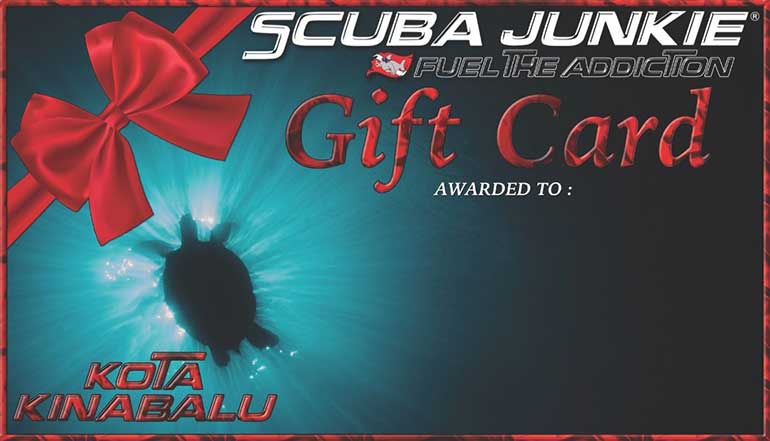 diving gift vouchers